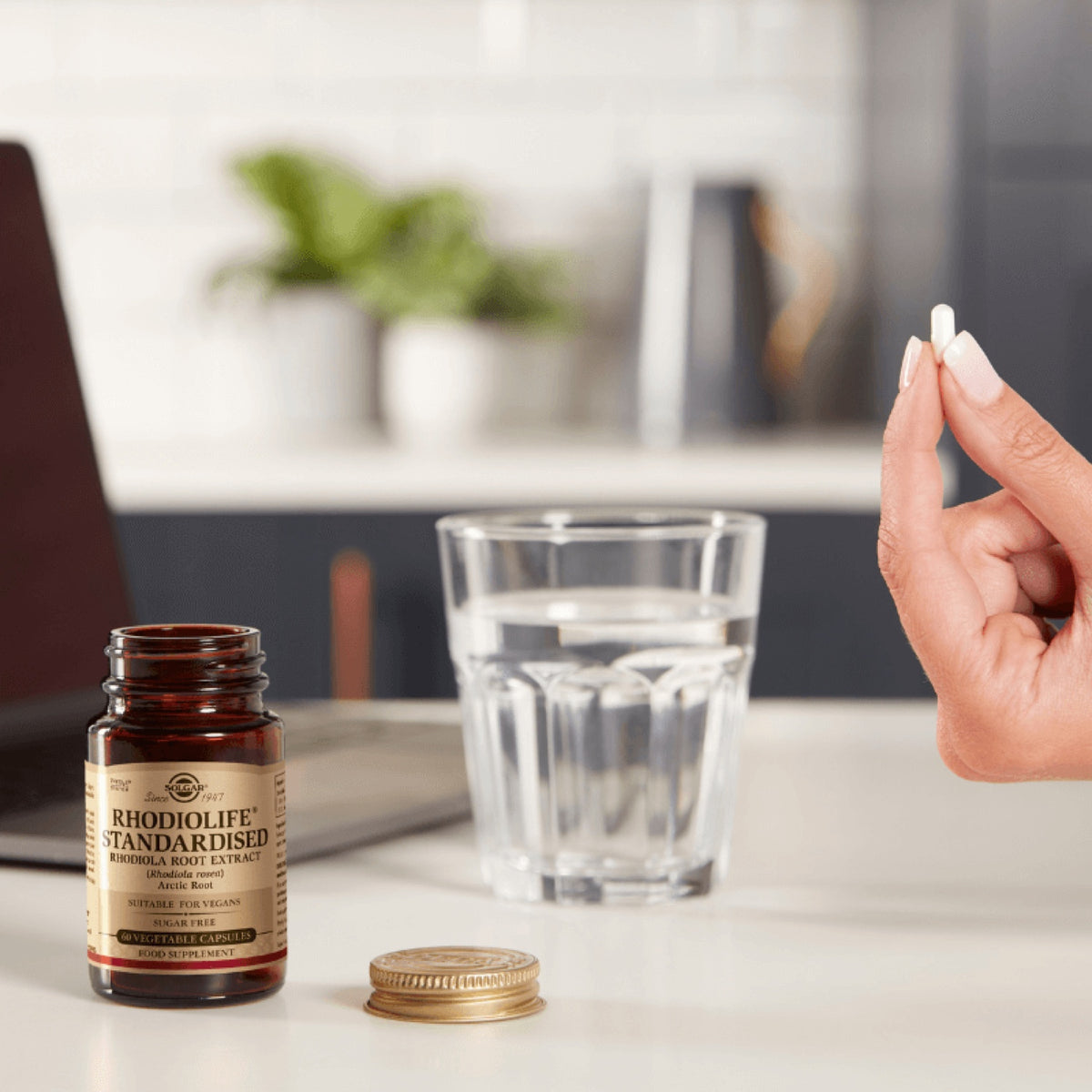 Solgar Extracto de Raíz de Rhodiola 350 mg 60 Cápsulas Vegetales en uso