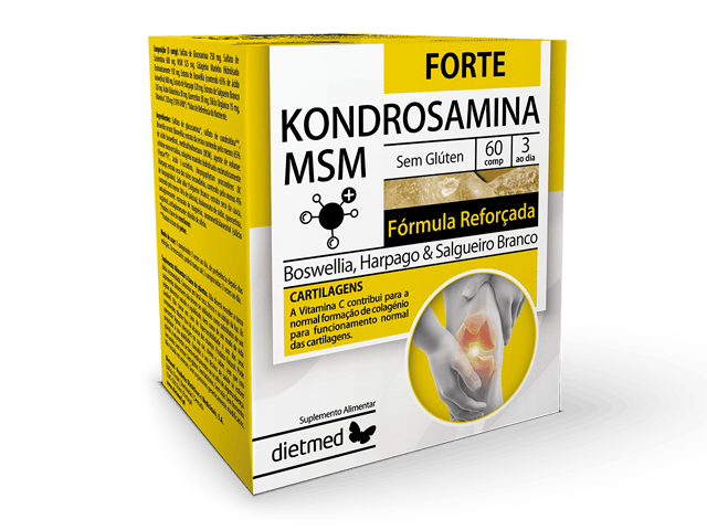 KONDROSAMINA MSM FORTE - 60 comp.