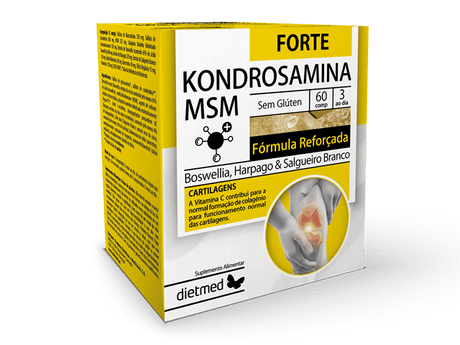 KONDROSAMINA MSM FORTE - 60 comp.