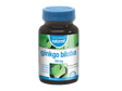 Ginkgo Biloba 90 comp