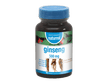 Ginseng 500mg 90 cáps