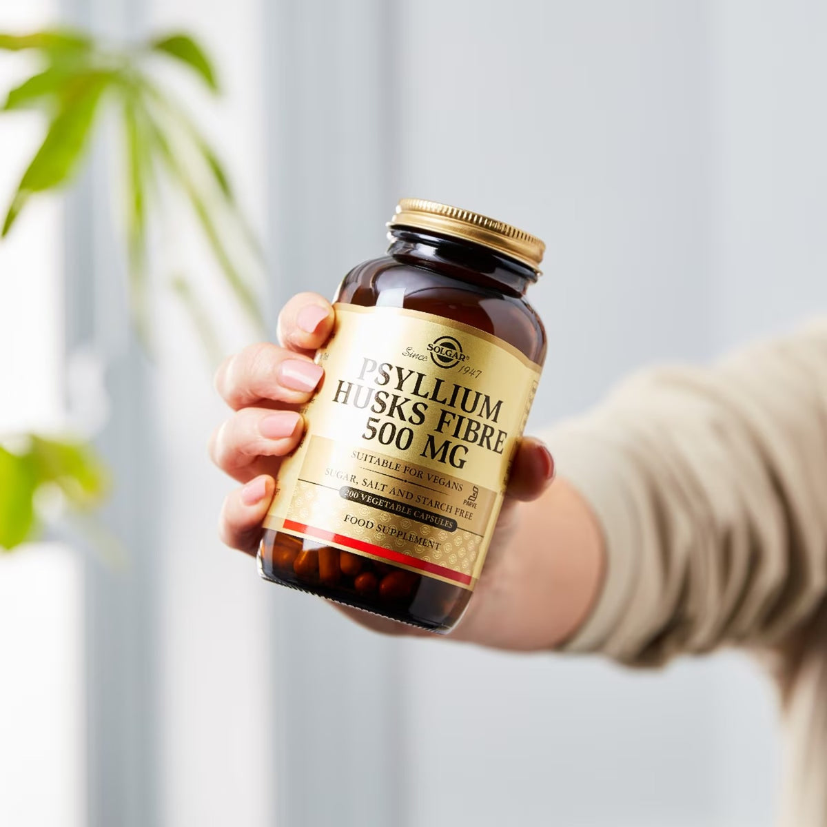 Solgar Psyllium Fibra de Cáscara 500 mg 200 Cápsulas Vegetales en uso